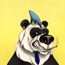 24