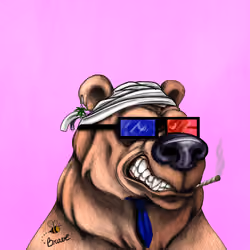 Bear #70