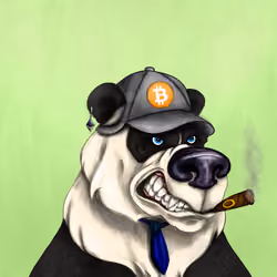 Bear #734