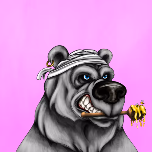 Bear #778
