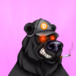 Bear #4617