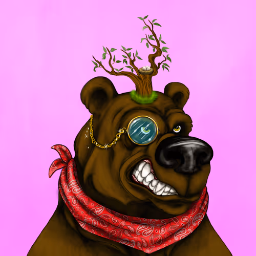 Bear #303
