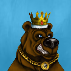 Bear #2428