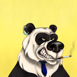 Bear #3833