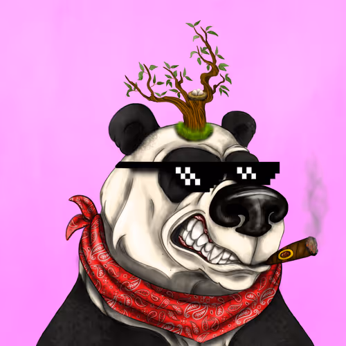 Bearseum