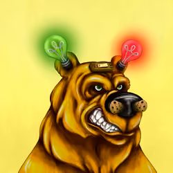 Bear #843