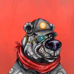 Bear #282