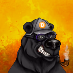 Bear #4565