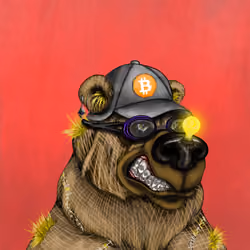 Bear #2769