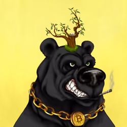 Bear #2707
