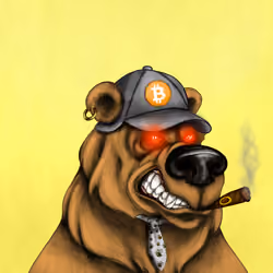 Bear #3728