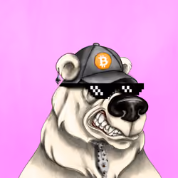 Bear #809