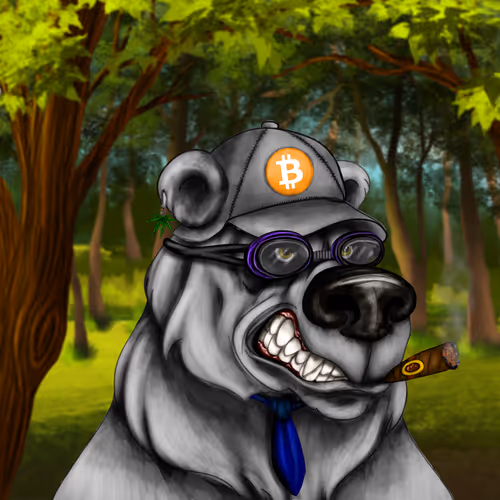 Bear #2649