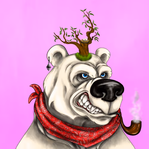 Bear #2673
