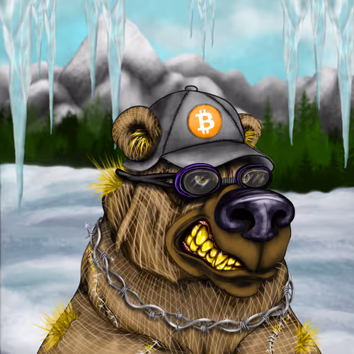 Bear #560