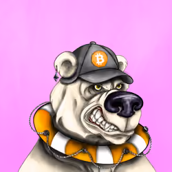 Bear #164