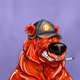 529