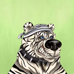 Bear #3712