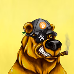 Bear #961