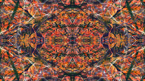 Item #21000091 Media