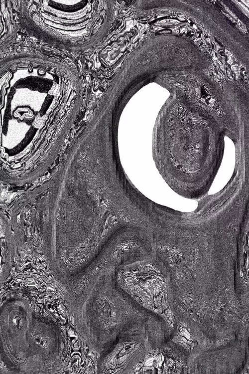 Item #49000047 Media