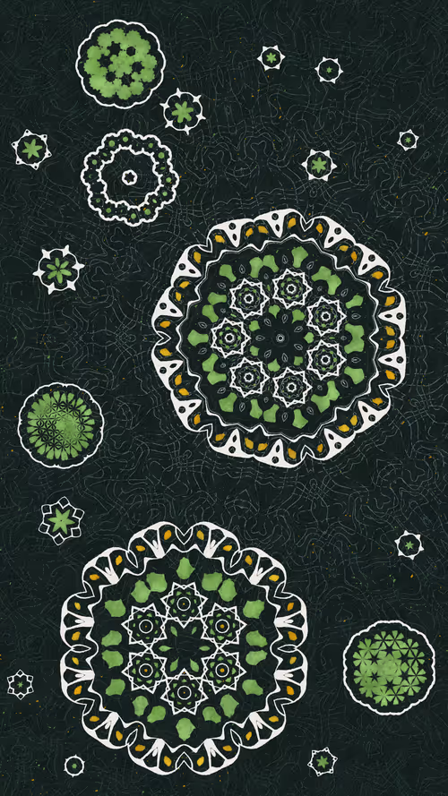 Item #81000047 Media