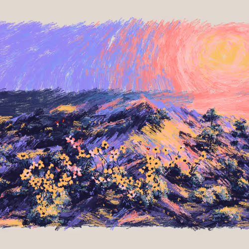 Sunset From The Bluffs By Nat Sarkissian
