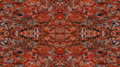 Item #21000059 Media