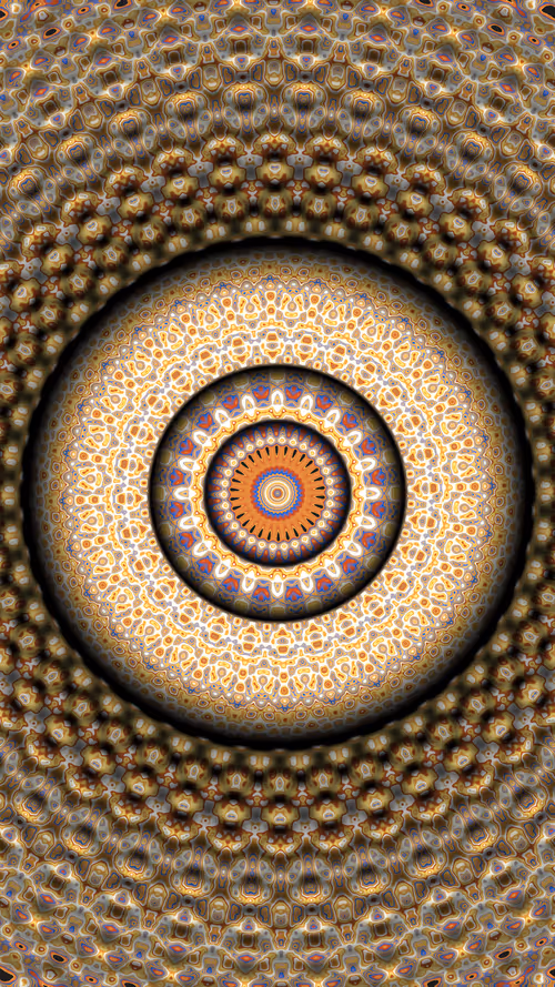 Item #38000051 Media