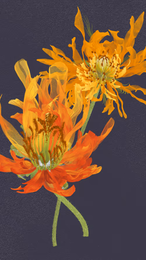 Item #66000050 Media