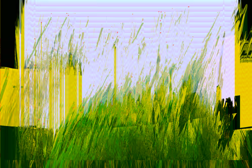 Item #70000004 Media