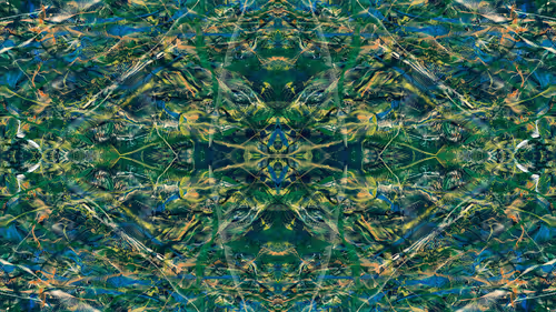 Item #21000049 Media