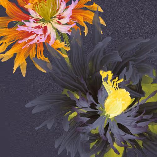 Delirium Blooms By Leonardo Solaas