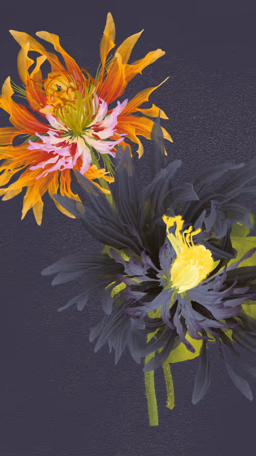 Item #66000082 Media