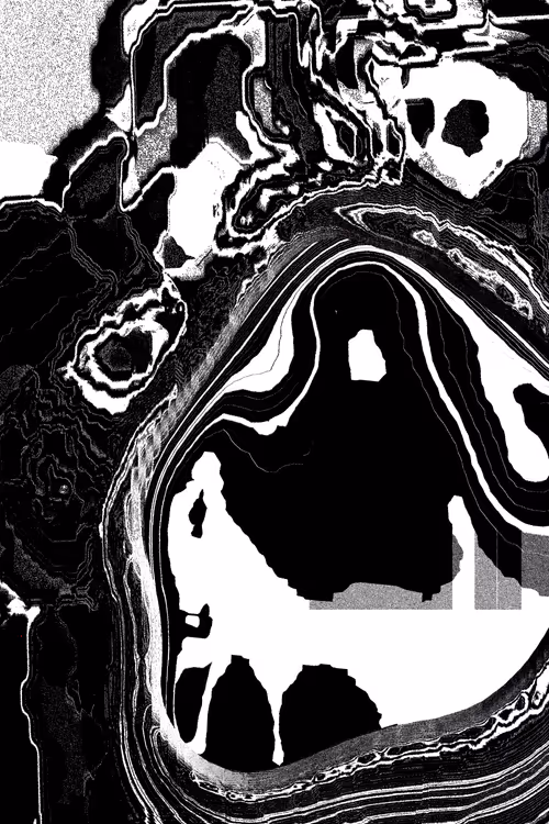 Item #49000073 Media