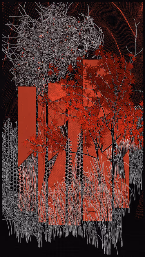 Item #52000040 Media