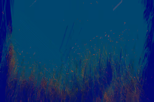 Item #70000065 Media