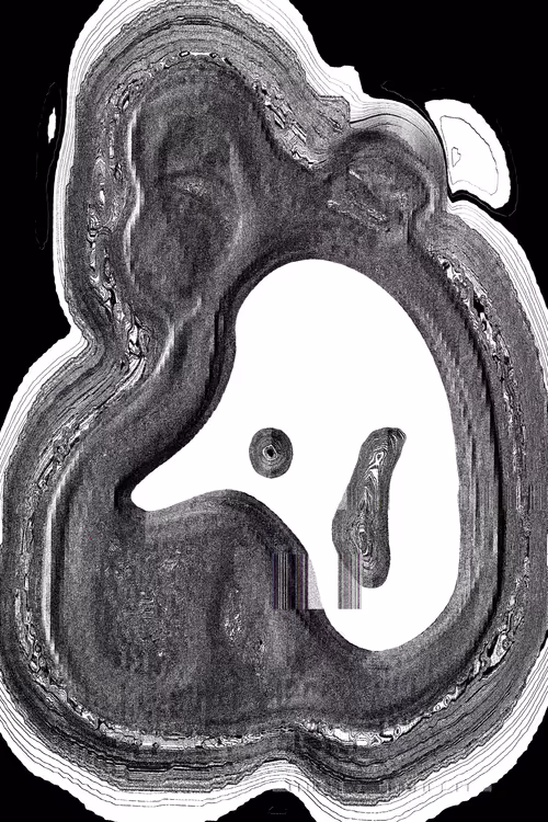 Item #49000031 Media