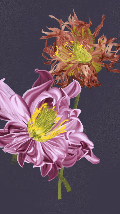 Item #66000042 Media