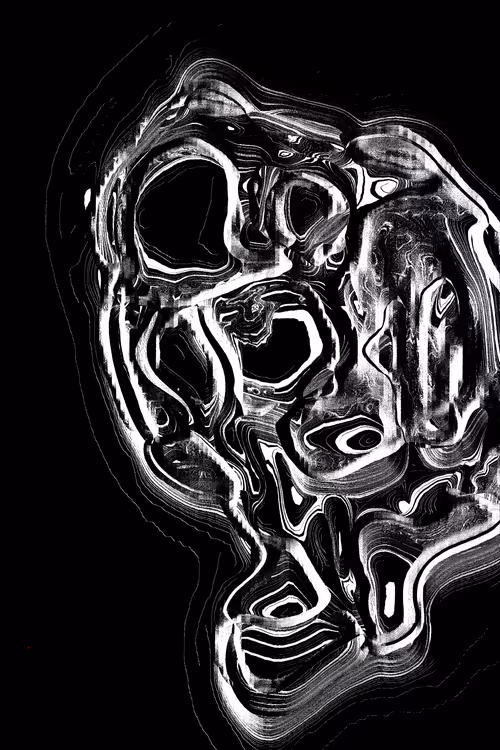 Item #49000048 Media