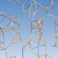 Network C #25