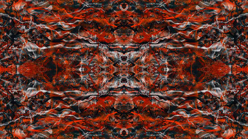 Item #21000043 Media