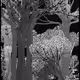 22000061
