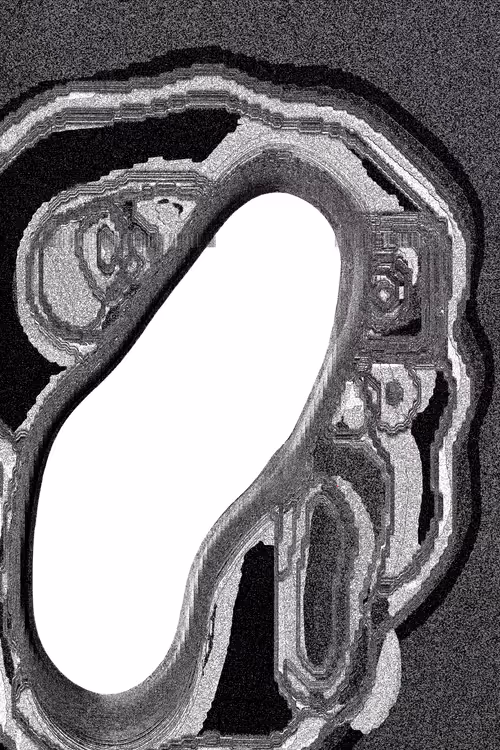 Item #49000081 Media