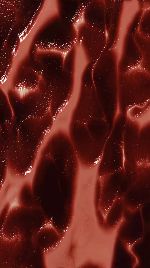 Item #67000056 Media