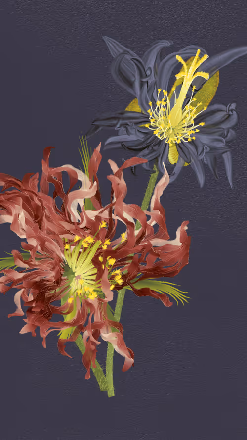 Item #66000058 Media