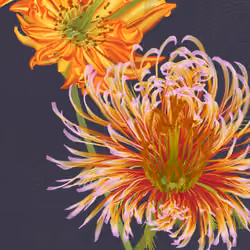 Delirium Blooms #34