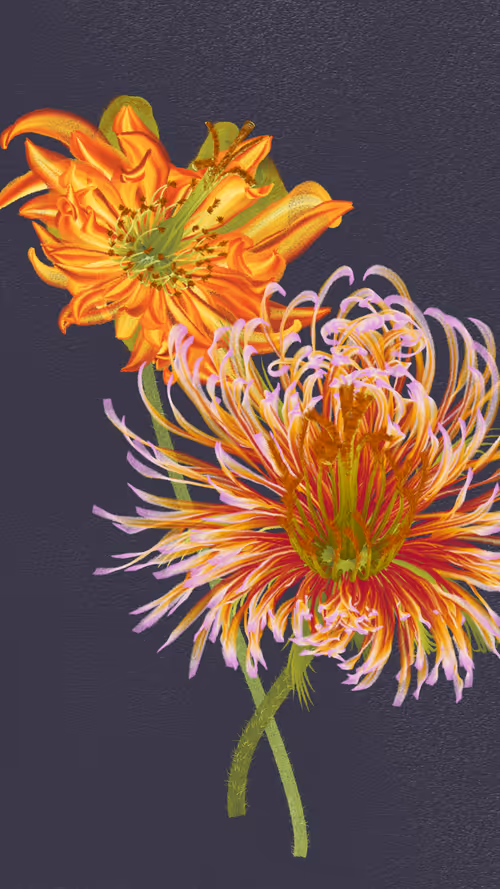 Item #66000034 Media