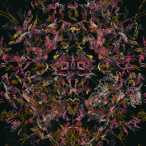 Orchids By Luke Shannon