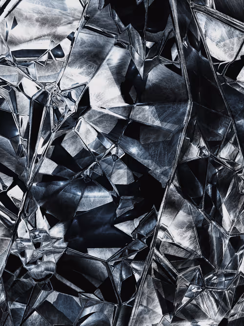 Item #58000103 Media